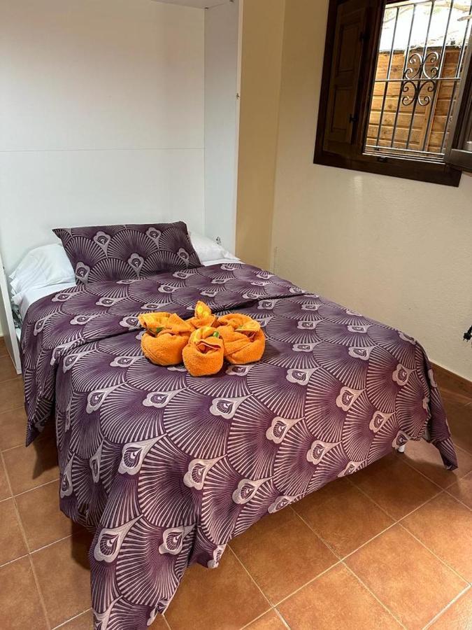 Casa El Sotillo Bajo Appartement